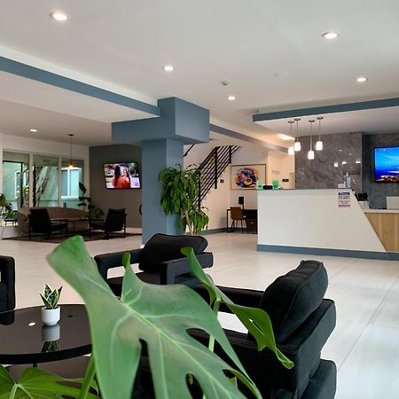 Garden Hotel Miami Airport, Trademark Collection By Wyndham 迈阿密泉 外观 照片